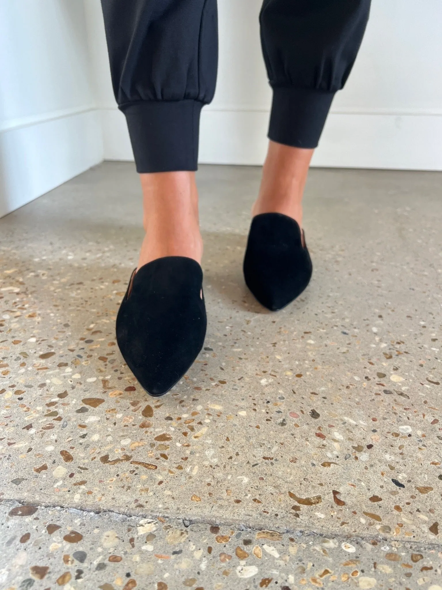 Black Signature Mule