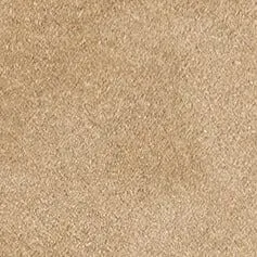 WALLY MULE | DUNE SUEDE